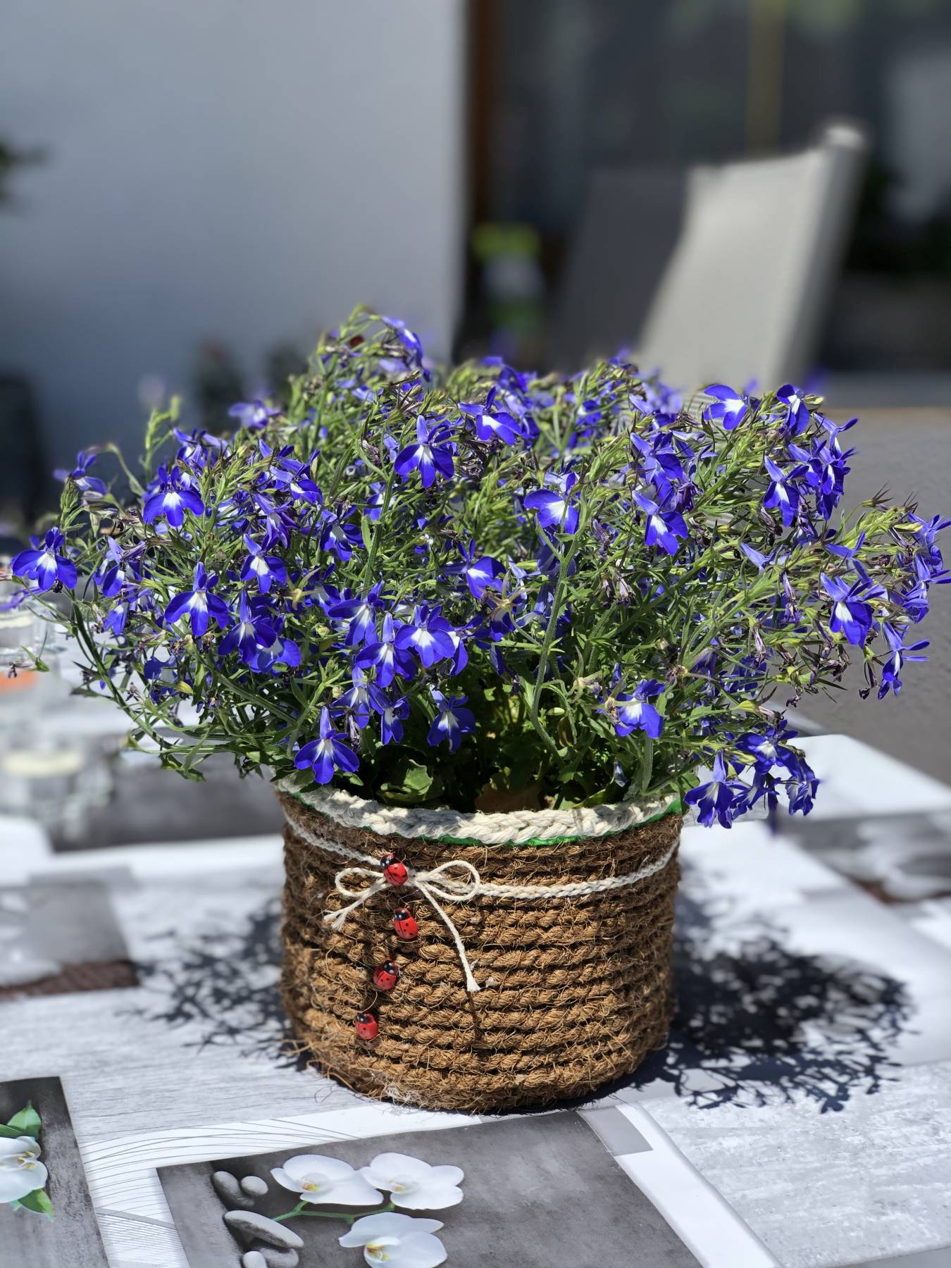 kreativ verwandelt, praktisch recycelt 
