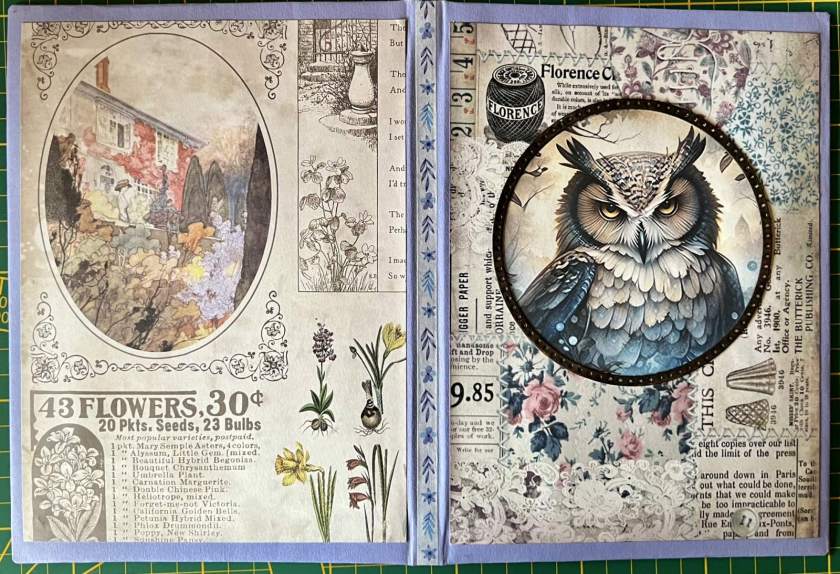 Vorder- und Rückseite des Albums mit Eulen